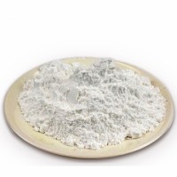 供应叔丁基肼盐酸盐生产厂家