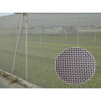山东地区专业生产防虫网厂家