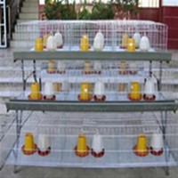 规模化山鸡养殖设备笼子_图片