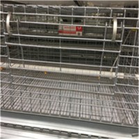 组装式笼架  阶梯式鸡笼 自动化养殖清粪设备_图片