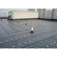 南宁市专业治理防水补漏、屋面地面防水,承接各种大小工程_图片