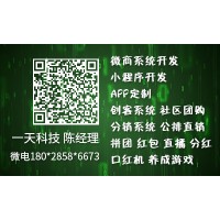 未来集市商城广州低价开发_图片
