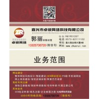 嘉兴网站建设|网站优化|十年经验!_图片