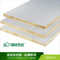活磁.净醛 |中国板材十大品牌全屋易装+净醛抗菌板材