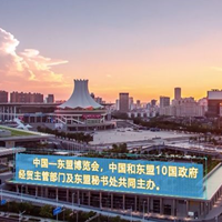 2020第17届中国东盟博览会建筑装饰材料展_图片