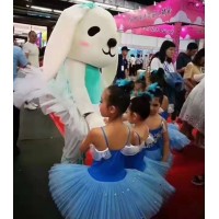 2020年6月辽宁沈阳幼教产业及装备展览会_图片