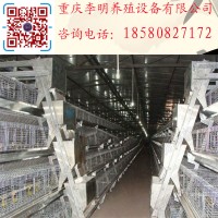 阶梯式喂料机 养殖设备 喂料机 养鸡喂料机 行车式喂料机_图片