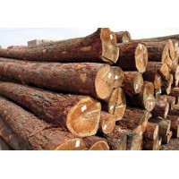 广州有哪家公司可以报关进口木材