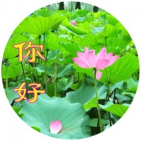 青岛到莱芜物流公司直达欢迎您2020