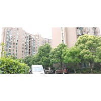 上海虹桥一号低密园林式醇熟大盘售楼处_图片