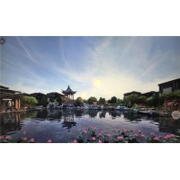 上海市奉贤泰禾海上院子售楼处的地址_图片