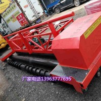 护栏式混凝土摊铺机 箱梁式整平机 轨道式找平机厂家直销_图片