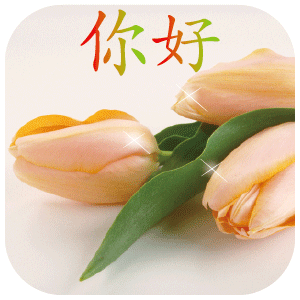青岛到荣成物流公司欢迎您2020