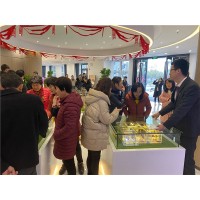 上海市新未来樾湖售楼处地址_图片