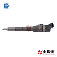 尼桑共轨喷油器  0 445 110 305
