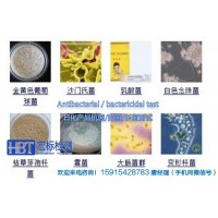 山东远红外功能测试_图片