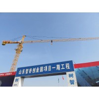 新乡TZ5013塔吊臂长50米可以实现10种塔机变臂组合_图片