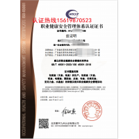 ISO45001职业健康安全管理体系认证业务服务内容-招投标证书_图片