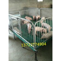 猪舍小猪保育床 养猪设备双体小猪保育栏厂家订做尺寸_图片