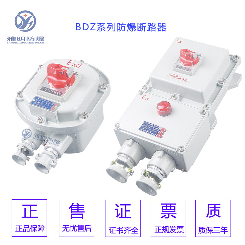 BDZ52-63A32A100A三相防爆断路器开关