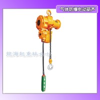 30吨35吨气体防爆-,II C类分固定式运行式_图片