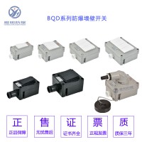 BM-10A/IS/220V单联单开防爆墙壁开关