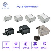 BM-10A/I/II防爆1开2开墙壁开关_图片