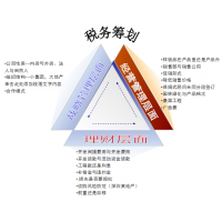 股份有限公司业务销售薪资外包合规节税一对一订制解决方案_图片