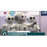 2021年南京第十四届人工智能展览会