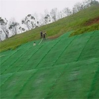 洛阳市现货供应边坡防护绿化植草hdpe三维植被网
