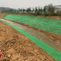 内黄县厂家定制生产hdpe三维植被网护坡绿化植草