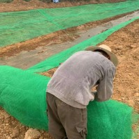 河道治理三维植被网边坡防护hdpe三维土工网垫现货供应