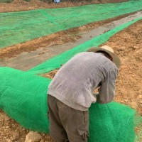 山城区现货供应河道治理三维植被网边坡防护三维土工网