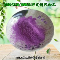蓝莓汁粉 蓝莓果粉 蓝莓粉 膳食纤维代餐粉果汁粉 OEM代加工