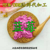 蓝莓果粉 蓝莓提取物 蓝莓花青素 OEM代加工 固体饮料 分装灌装_图片