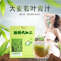 青汁 大麦若叶嫩苗粉 代餐青汁 大麦若叶青汁OEM代加工 分装罐装_图片