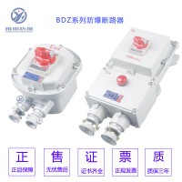 BDZ52-100A4P3P380VEx防爆断路器_图片