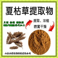 夏枯草粉 白花草粉 超微粉碎 低温破壁 震动破壁 超细粉 固体饮料 分装灌代加工_图片