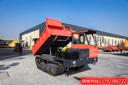 履带式观光车四座可行走 山地泥泞道路运输履带式_图片