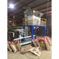 铁岭市绿豆单人操作不锈钢包装称厂家_图片