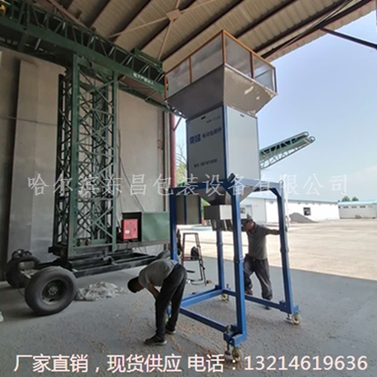 黑龙江省黑河市散料不锈钢定量装袋机价格_图片