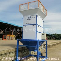 海南省20吨每小时大豆电脑流量秤东昌品牌_图片