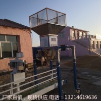 黑龙江省大庆市绿豆自动检斤定量打包机价格_图片