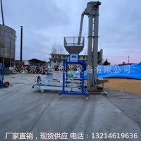 河南省黑豆耐低温自动包装机销售地点_图片