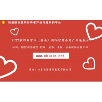 2022中国国际智慧养老产业展,智能家居产品展,养老展