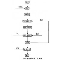 巩义铂思特氰化浸出法从贫金砷精矿中提金,金精矿脱砷脱硫