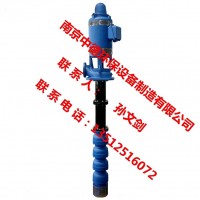 南京中德长期提供RJC长轴深井泵,XBD立式多级长轴消防泵_图片