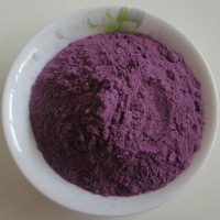 紫薯粉 蔬菜粉厂家 琦轩食品 广东东莞