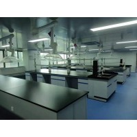 钦州实验室家具,钦州实验台,实验室通风柜_图片