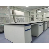 百色实验室家具,崇左实验室通风柜,实验台价格_图片